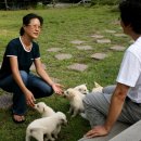 양안농장 이미지