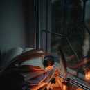 인디무드 이미지