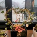 카페일분 안성점 이미지