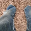 다리안 황토길 이미지