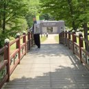 파주삼릉점 | 5월 주말 근교 나들이 추천, 파주 삼릉