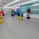 베스트 합기도 이미지