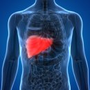 오대가한의원 이미지