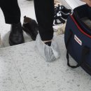 렌탈몬 이미지