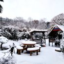 새하얀세상 이미지