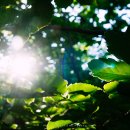 햇살가득한 이미지