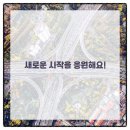 연세강인병원 이미지