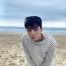 세무법인성우 - 서초구 강남대로12길 8 | 200억 털린 차은우, 장어집이 1인 기획사? '얼굴천재'의 탈세 의혹 파문 근황 공개
