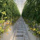 지열축산 이미지