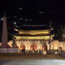 세종문고 앞 | 디지몬 심포니 오케스트라 관람후기🎵(4.19)/플래직 오케스트라🎻🎺/세종문화회관 대극장 시야