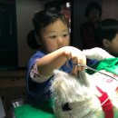 소풍동물병원 이미지