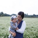 올레치킨 이미지