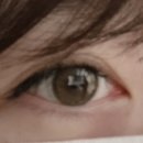 아름단아