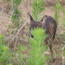 (주)디지탈캠프 이미지