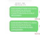 세븐일레븐 에너지파크점 | 위시보러 간 김에 나고야 여행 #1