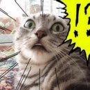 장미크리닝 이미지