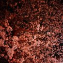 불타는양꼬치 이미지