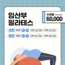 매트필라테스/소도구 A반 이미지