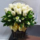 계림꽃농원 이미지