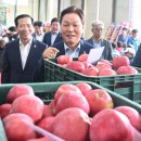 청과물처리장 이미지