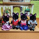 훤칠한고양이 이미지