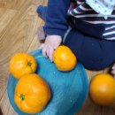 샬롬농장 이미지