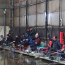 오산낚시터 이미지