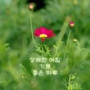 꽃피는하루