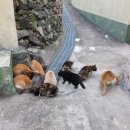 중저경로당 이미지