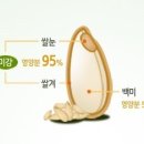 미강 이미지