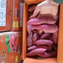 전남 세척 꿀고구마 긴하사이즈&amp;장경례 꿀고구마!!! 이미지