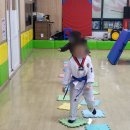 참마음 태권도장 이미지