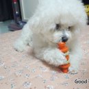 뚱땅뚱땅 이미지