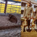 두아름농장 이미지