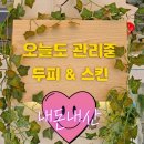[오늘도관리중] 내돈내산 강동구 윤곽관리 수기맛집: 헤드스파+얼굴관리를 한번에 받을 수 있는 두피...