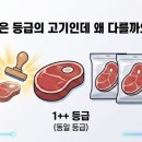 예담축산