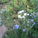 갈평농장 이미지