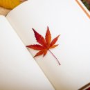 파란부동산중개 네이버블로그