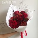 비브레 네이버블로그