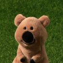 오송도송 음식특화거리 이미지