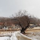 덕1리 이미지