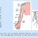은돈가스 이미지