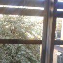 주식회사 오린 이미지