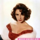 비행기헤어
