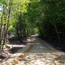 천상중앙길 이미지