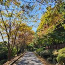 한가네종가집 이미지