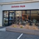 어텀데이즈(autumn days)
