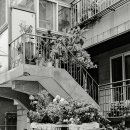 미성동-2 이미지