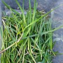 키즈팜민박 이미지