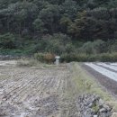 진전면936 이미지